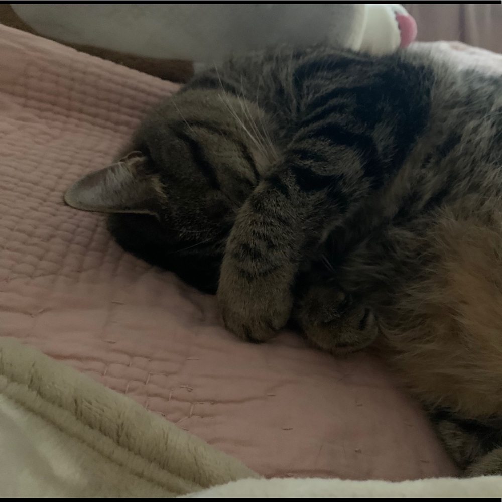 Meet your Posher, Liz